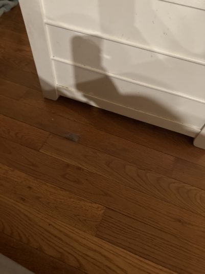 96C455FB-7D3B-4838-945A-FDD2E5DD3B32