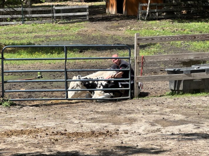 FDCC2AE8-B8BD-44DF-B00A-B361F49A9873