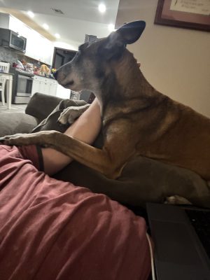 784F76EA-0CE6-409E-92BB-A18BDBA5688E