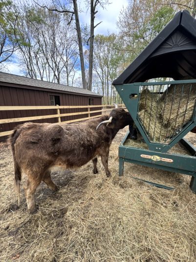 10805941-0D21-4FCA-87BE-CFEBDE73D643