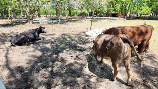 F5C2E9A9-011B-47F3-B9B7-7CE92EAC3760