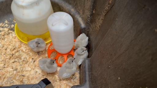 6102FD67-CE4B-478A-BE9B-D5E78F82E341