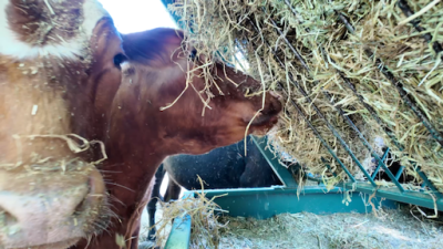 65EC8070-B84E-44E2-A8B5-F2CCBA9B1DBA