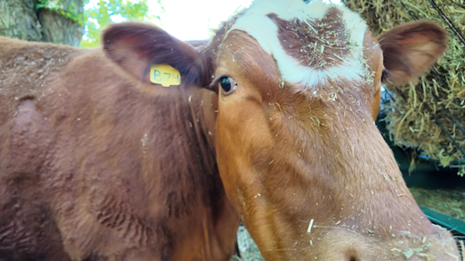 4B498B80-9533-41BC-BE6A-0FEEF14EE993