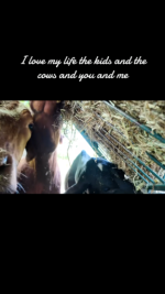 9704AD2B-9CFE-43B6-9485-29DFCA938474