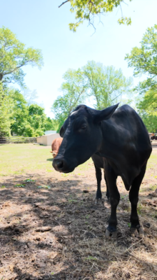 ED8B4E99-68BF-4699-AF84-4922A12E71CD