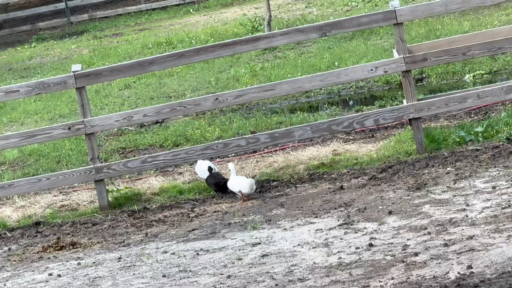 BD3BD1CD-6446-434E-9CAF-6D5BCA563A4A