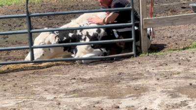 FA473299-9F8A-4E2B-97D0-1EE2F060EB0F