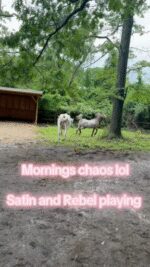 5BB82399-E8DC-4B3D-A6C8-617ABD20BE26