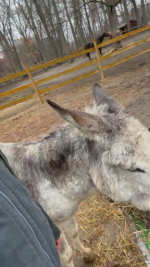 8B41F273-F561-4145-B89F-395DFDF4B557