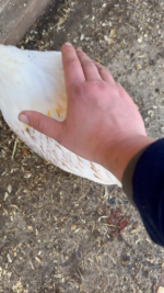 6EC4467F-0344-4C2F-BE24-C1E0354D6600