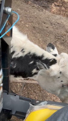 7F42EAC4-9038-4F76-B6B8-A3EF7397070F