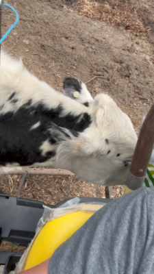 5E2ECC7E-8FF6-4B9A-BA39-5F23B0E1CBF8