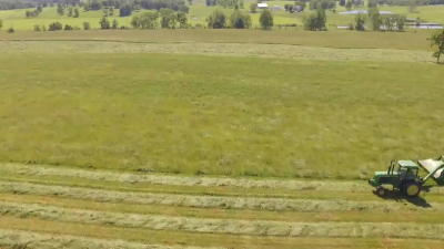 1560989-hd_1280_720_30fps